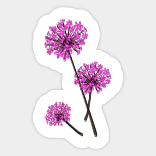 Allium Flowers Sticker